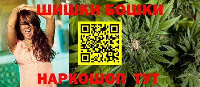 шишки Обь