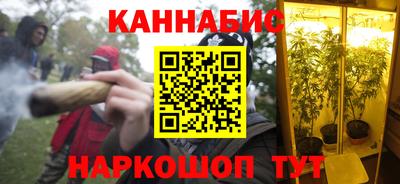 шишки Обь