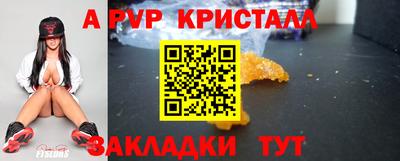 шишки Обь